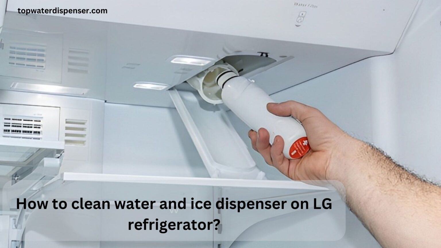 How to clean water and ice dispenser on LG refrigerator?