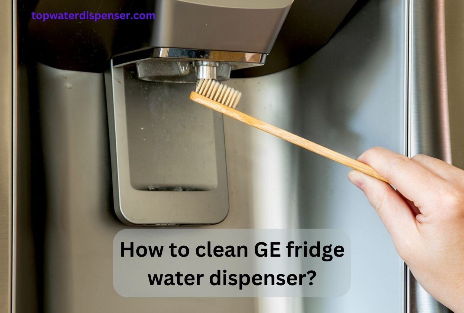 How to clean GE fridge water dispenser?