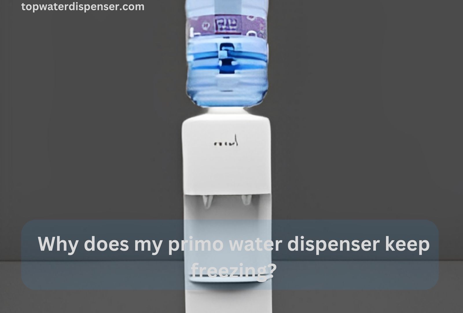 How To Put 5 Gallon Water Jug On Dispenser?