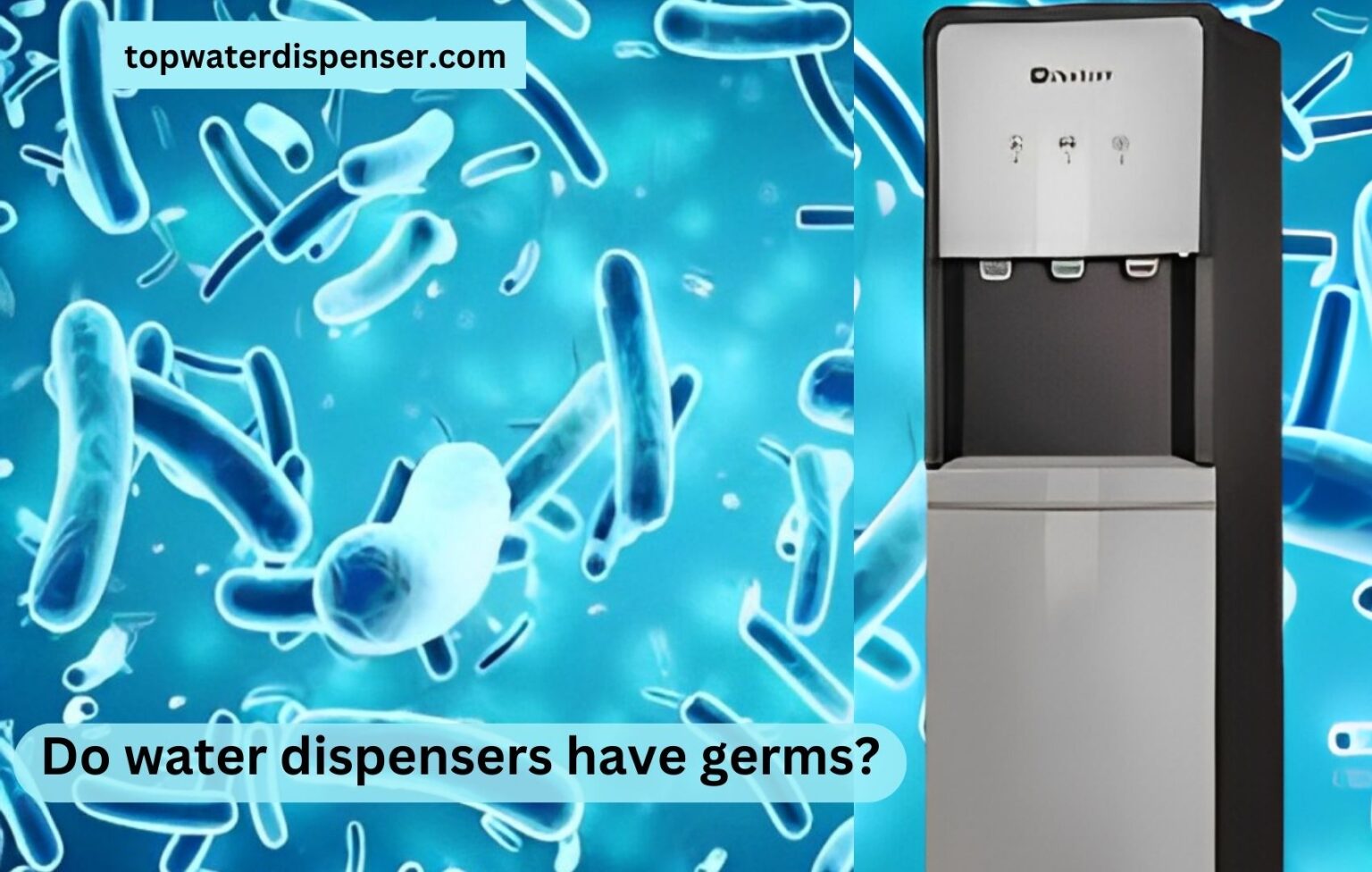 Do water dispensers have germs?