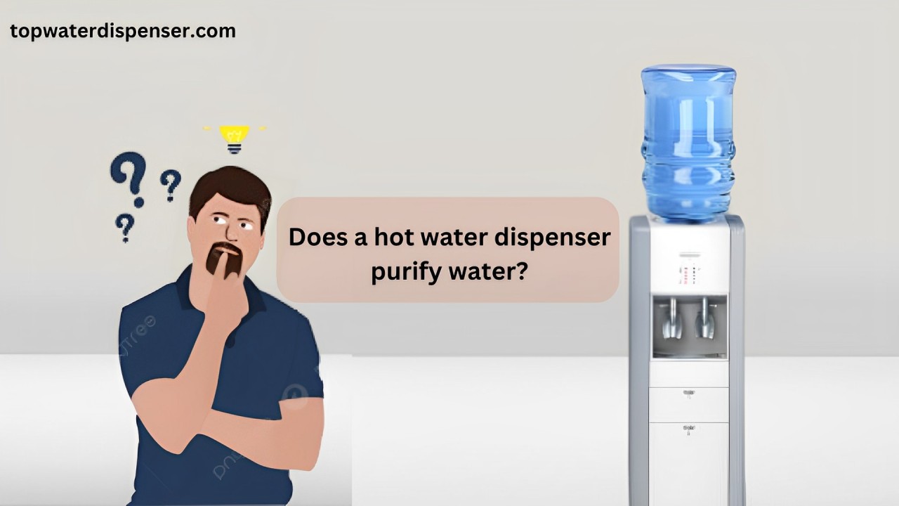 Does a hot water dispenser purify water?