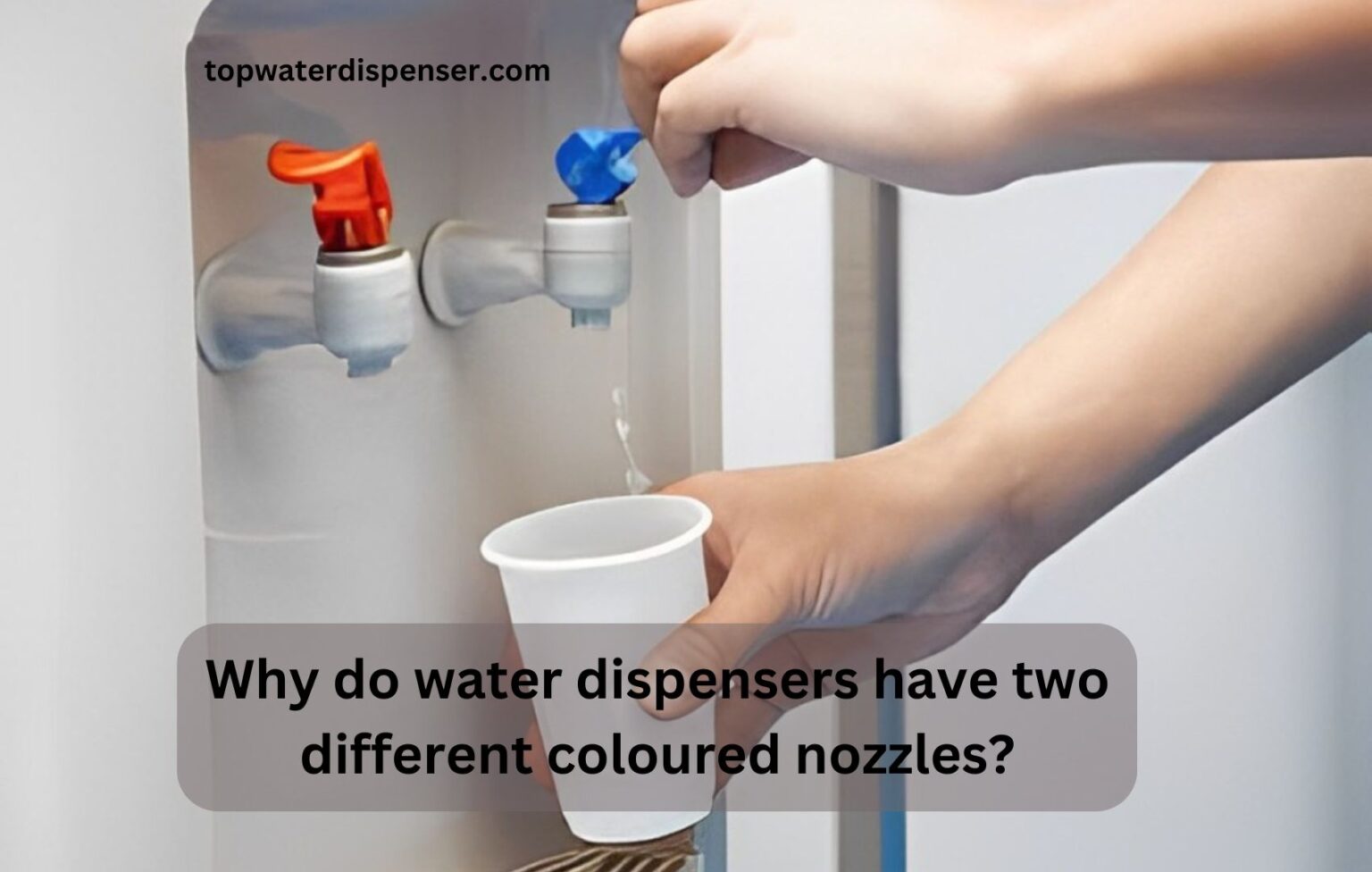 Why do water dispensers have two different coloured nozzles?